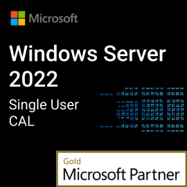 Windows Server 2022 1 User CAL